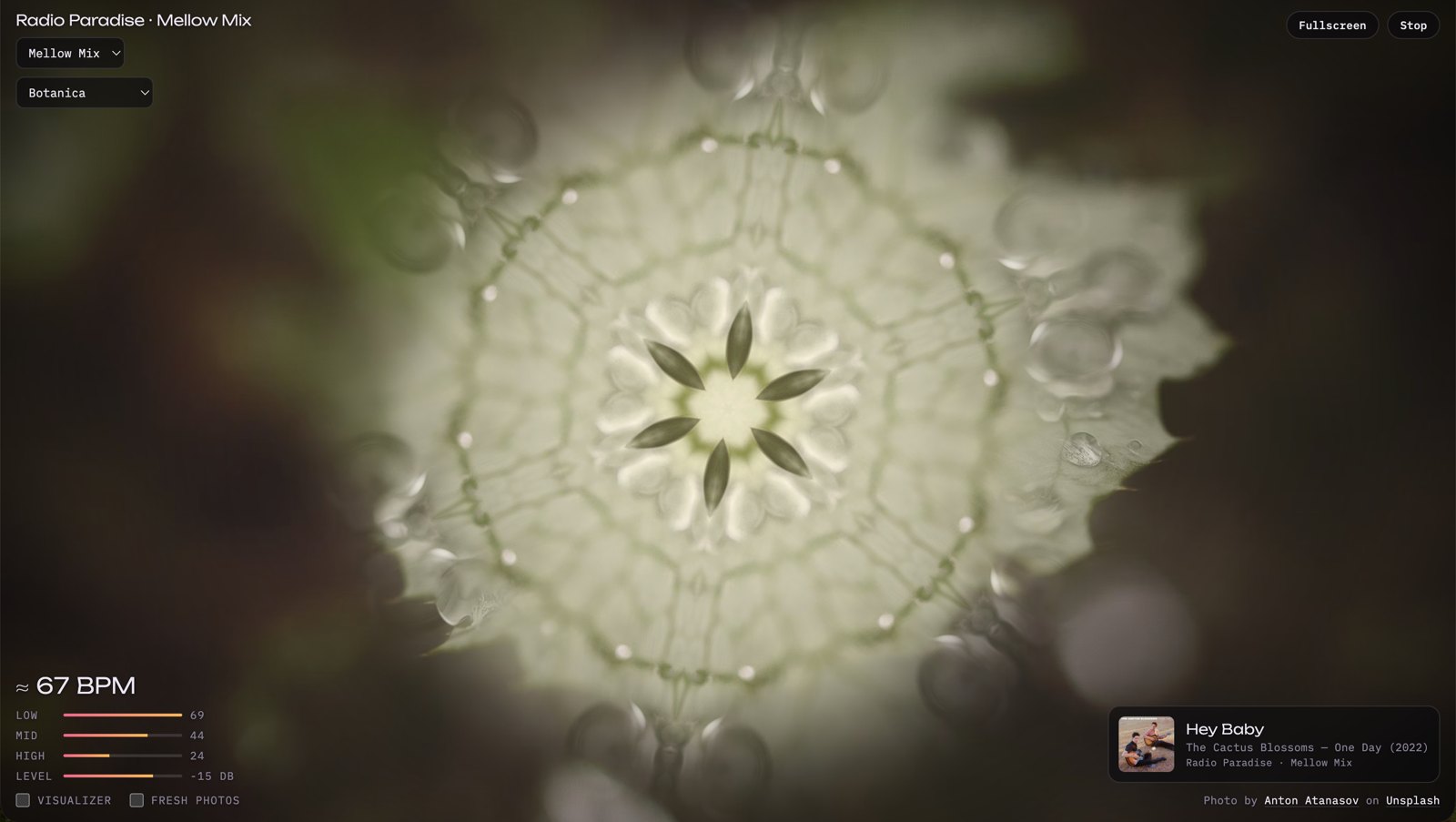 The Listening Room playing Radio Paradise’s Mellow Mix: a soft green kaleidoscope of a flower fills the screen
